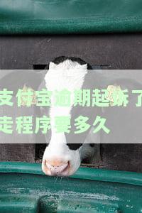 支付宝逾期起诉后怎么办，支付宝逾期被起诉后的应对策略