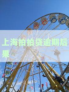 上海拍拍贷逾期了8个月了不还会怎么样会起诉吗，拍拍贷逾期8个月未还，是否会面临法律诉讼？
