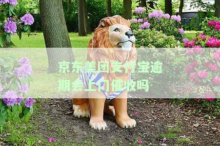 京东美团逾期会打通讯录电话？安全问题与最新规定解析