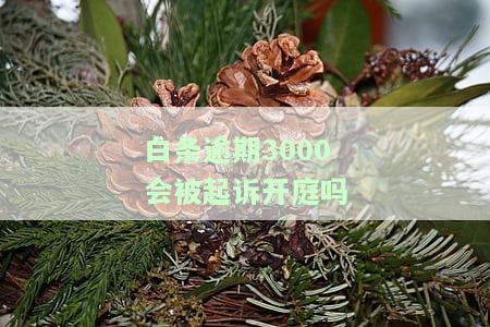 白条逾期3000会被起诉开庭吗？多久能判决结案？