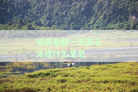 招商逾期一天显示冻结？影响及解决办法全解析！