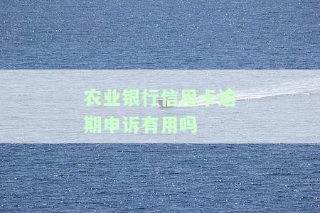 2021年农业银行信用卡逾期新法规及协商技巧详解