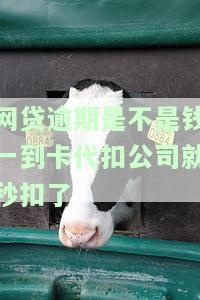 网贷逾期是不是钱一到卡代扣公司就秒扣了