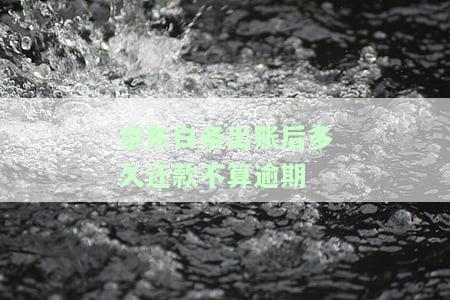 京东打白条后几天还款，还款时间解析：打完白条后需几天内还款？