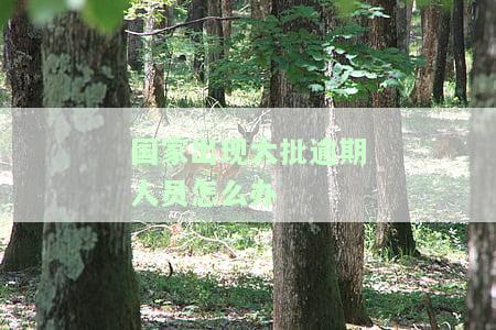 国家出现大批逾期人员怎么办理，大批逾期人员，国家如何应对和处理？