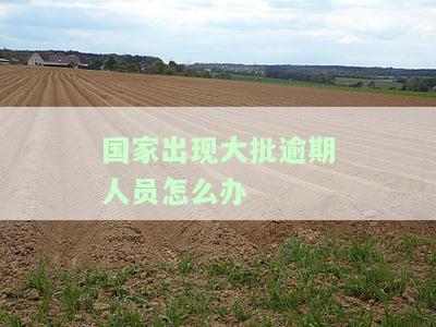 国家出现大批逾期人员怎么办-国家出现大批逾期人员怎么办呢
