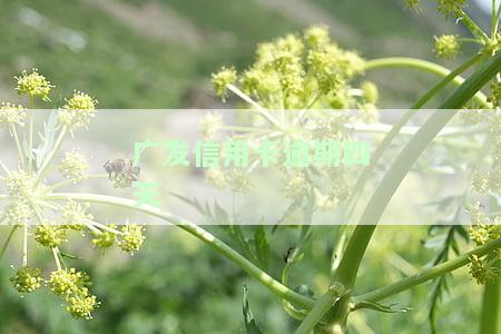 发信用卡逾期四天就有第三方公司催收，发信用卡逾期4天即遭遇第三方催收，你是否也中招了？