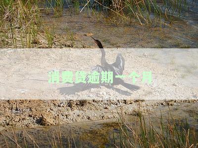 消费贷逾期一天会否影响征信？——逾期一天的后果解析