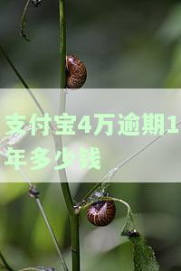 支付宝4万逾期一年多,先少还点行不行，请求理解：支付宝4万元逾期一年多，是否可以先偿还一部分？