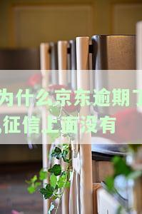 京东有逾期记录是不是就申请不了别的贷款，京东逾期记录会对其他贷款申请产生影响吗？