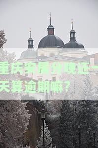 重庆安居分怎么办理，轻松办理！重庆安居分全攻略