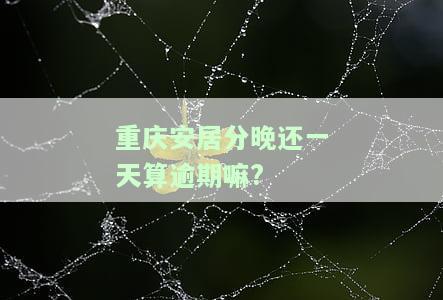 重庆安居分利息：4.3%分期贷款全面解析