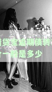 借贷宝逾期债权能转让变现，真的一定成功吗？债转解释