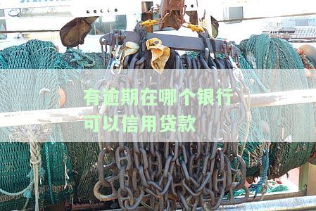 有逾期在哪个银行可以信用贷款买房，如何申请信用贷款买房？解决逾期问题的关键步骤