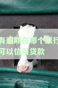 有逾期在哪个银行可以信用贷款买车，如何解决逾期记录，哪些银行提供信用贷款购车服务？
