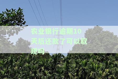农业银行逾期10天后还款了，能否立即取现？请看解决方案！