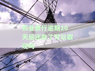 农业银行贷款逾期几天还款以后还可以贷出来吗，农业银行贷款逾期还款后，多久可以再次申请贷款？
