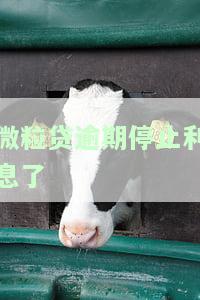 微粒贷逾期停止利息了怎么算，微粒贷逾期后，利息如何计算？