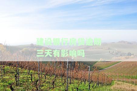 建设银行房贷逾期三天会有何影响？该如何解决？