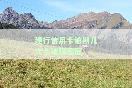 建行信用卡逾期后多久能恢复使用及额度？