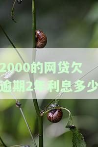 2000元网贷逾期2年，利息多少？正常情况应如何计算？