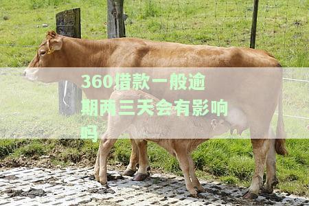 360借款平台：一般逾期多久会上征信？
