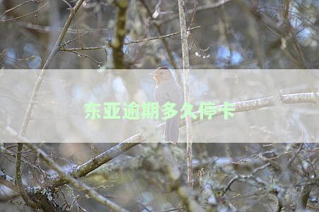 东亚逾期多久停卡