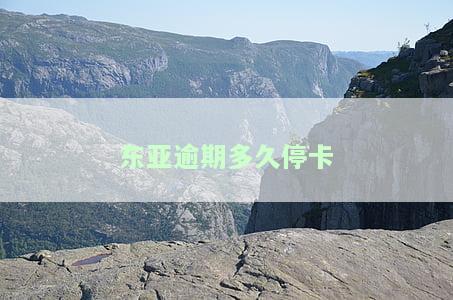东亚逾期多久停卡