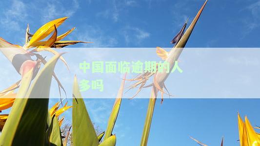 中国面临逾期人数众多：现状与知乎讨论
