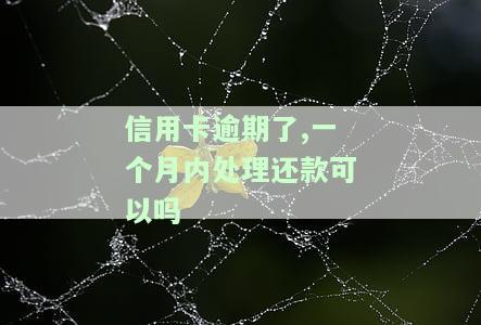 信用卡逾期了一个月，还能在规定时间内还款吗？会对信用记录产生影响吗？