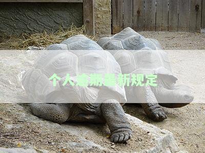深入了解个人逾期还款的严重后果