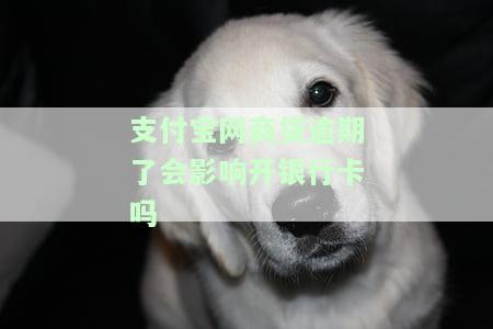 支付宝网商贷逾期是否会影响征信和银行贷款？安全性如何？