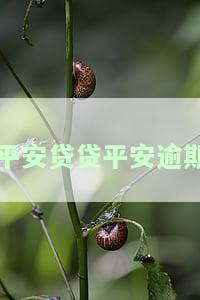 平安贷款逾期四个月会有什么后果是什么，警惕！平安贷款逾期四个月可能带来的严重后果