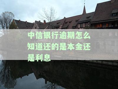 中信银行贷款逾期如何最划算还款？