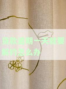 贷款逾期一天还会自动扣款吗，解答疑惑：贷款逾期一天会自动扣款吗？