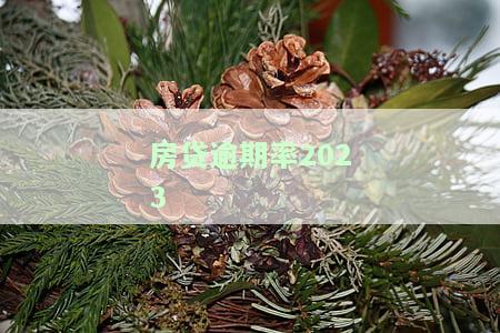 房贷逾期率提高，房贷逾期率上升：警惕贷款违约风险