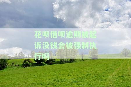 借呗,花呗逾期被起诉的过来说说,法院怎样判，亲身体验：借呗、花呗逾期后被起诉，法院如何判决？