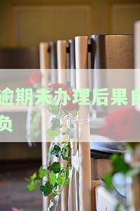 逾期未办理后果自负-逾期不办后果自负什么意思