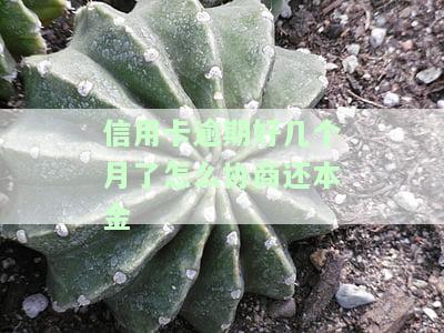 我信用卡逾期几个月了他们说要告我上法院，逾期数月，银行称将对我提起诉讼