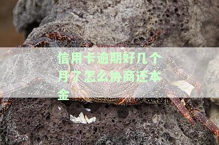 信用卡逾期三个月立案怎么办？已起诉，2021年应对策略