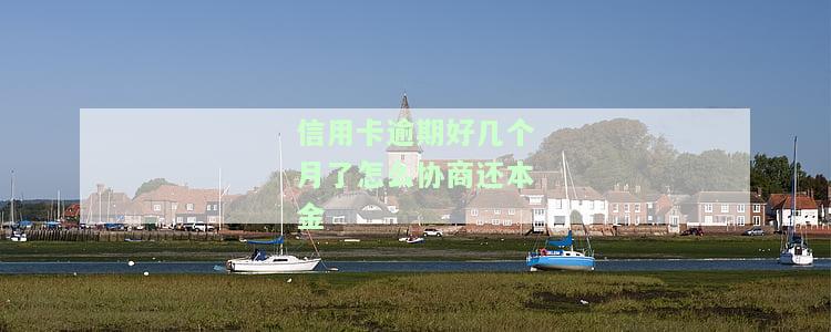 信用卡35000逾期5个月了，信用卡逾期5个月仍未还款，欠款金额达35000元
