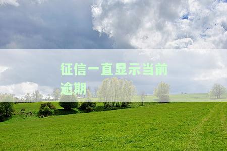 征信一直显示当前逾期怎么办，如何解决征信一直显示当前逾期的问题？