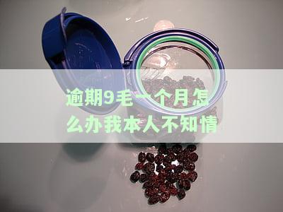 逾期9毛一个月怎么办我本人不知情