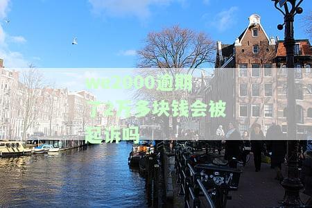 we2000逾期上征信吗，逾期还款是否会上征信？——WE2000的信用风险解析
