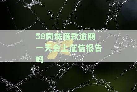 借款逾期一天会上征信报告吗安全吗，关于借款：逾期一天是否会影响征信及安全性？