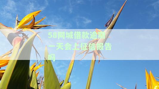 借款逾期一天是否会影响征信？知乎上有相关回答吗？