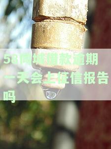 借款逾期多久会联系紧急联系人？会影响家人吗？