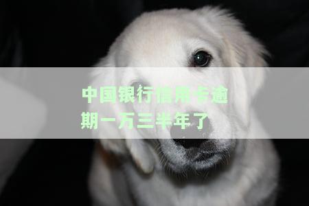 中国银行信用卡逾期：有无减免政策？能否协商还本金？
