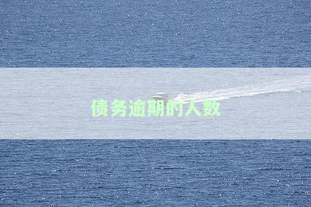 债务逾期人数很多，债务逾期问题严重：人数众多，引发社会关注