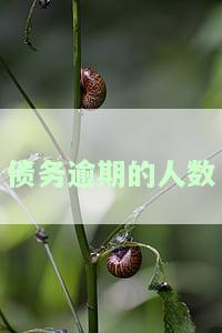 逾期人员有多少，逾期人数统计：揭示逾期情况全貌